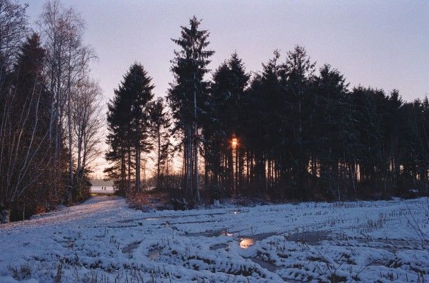 AGFA_200_WINTER_LANSCAPE_BELGIUM_R8_35MM_ELMARIT_FILM_ANALOG_JIPVANKUIJK