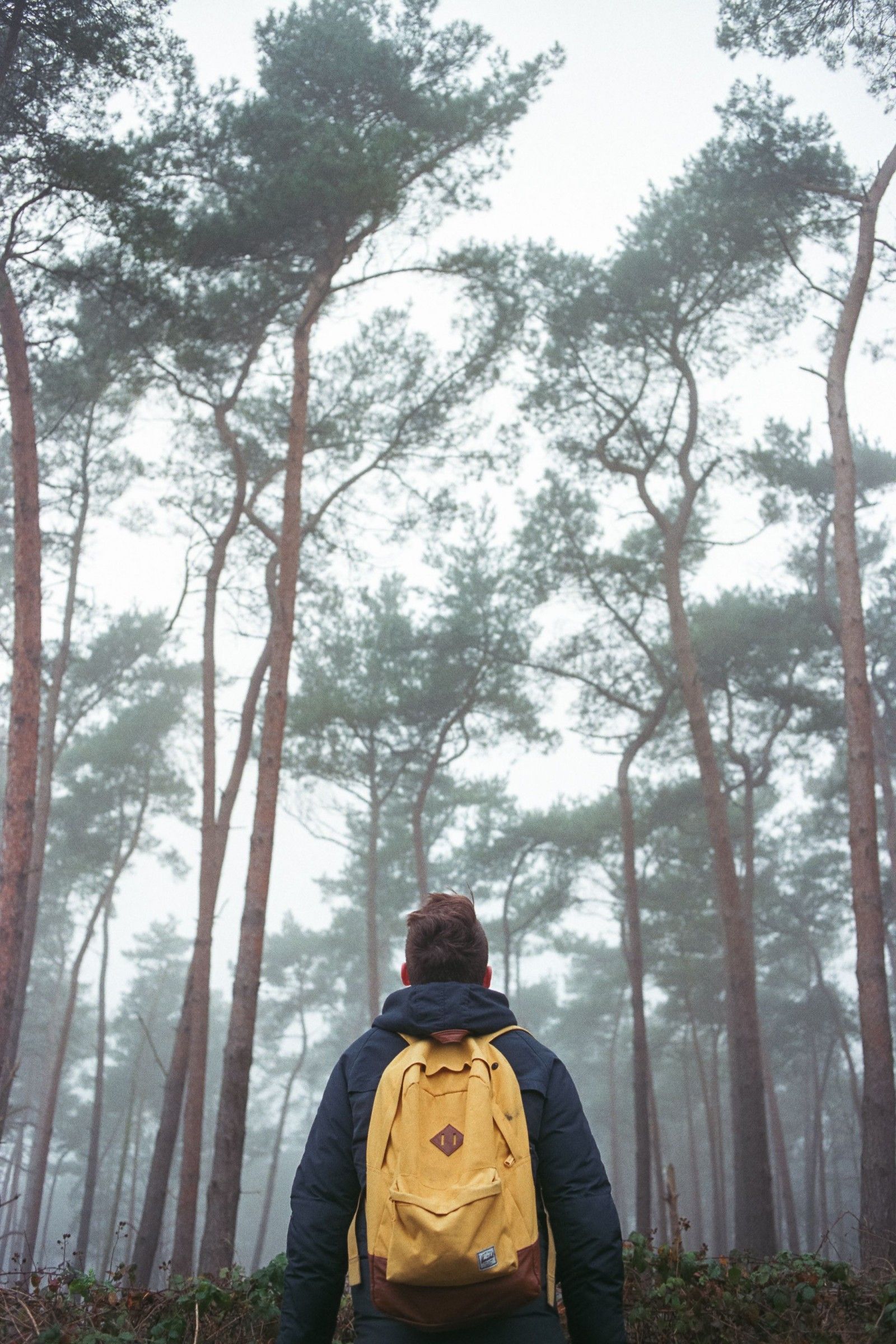 FUJI_400_R8_PORTRAIT_BACK_BACKPACK_HERSCHEL_JIPVANKUIJK_FILM_ANALOG_NIKON_COOLSCAN