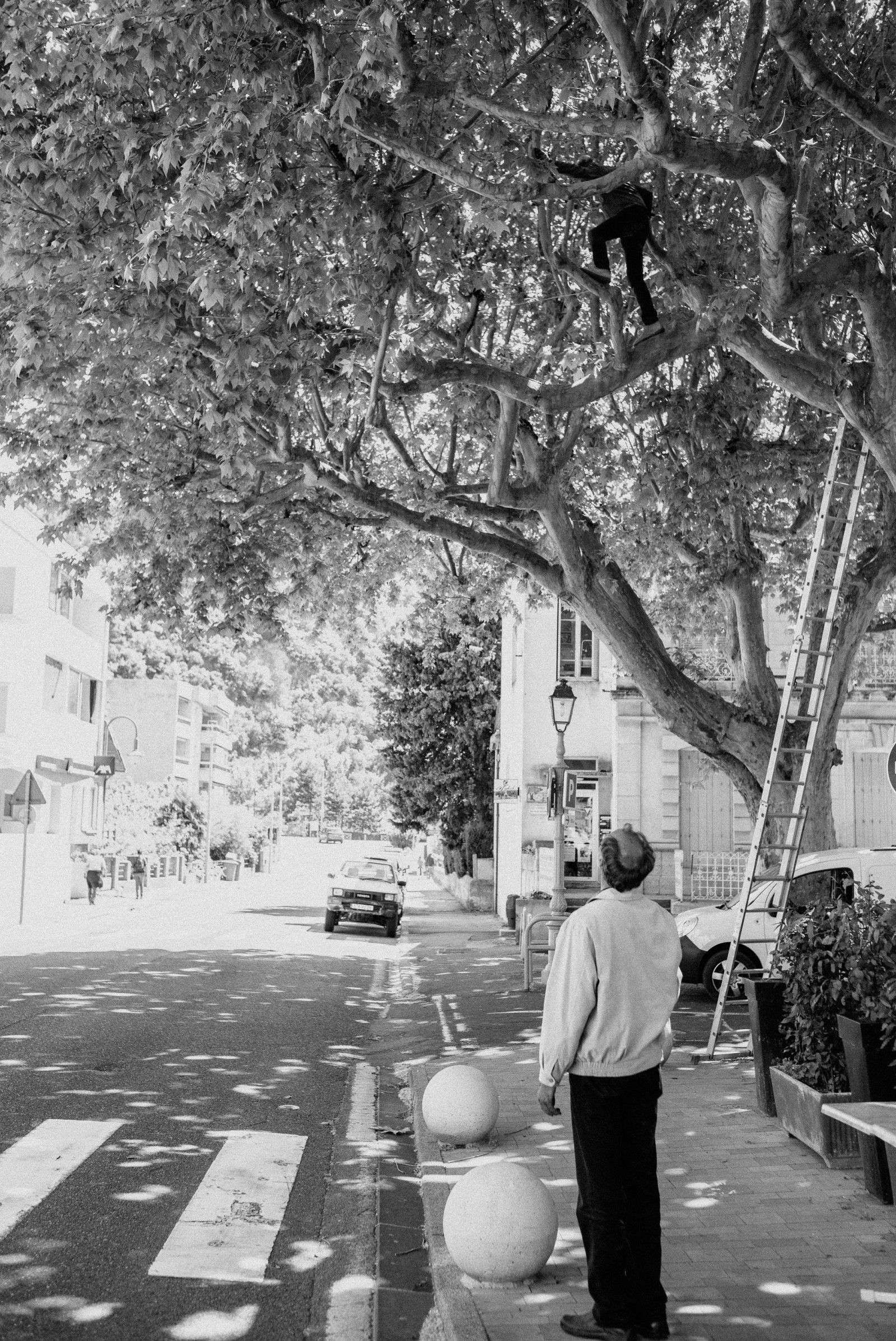 man_in_tree_france_m240_leica_summicron_35mm_jipvankuijk
